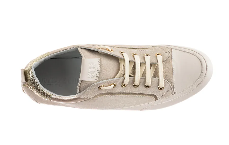 Cc Taffy Grey