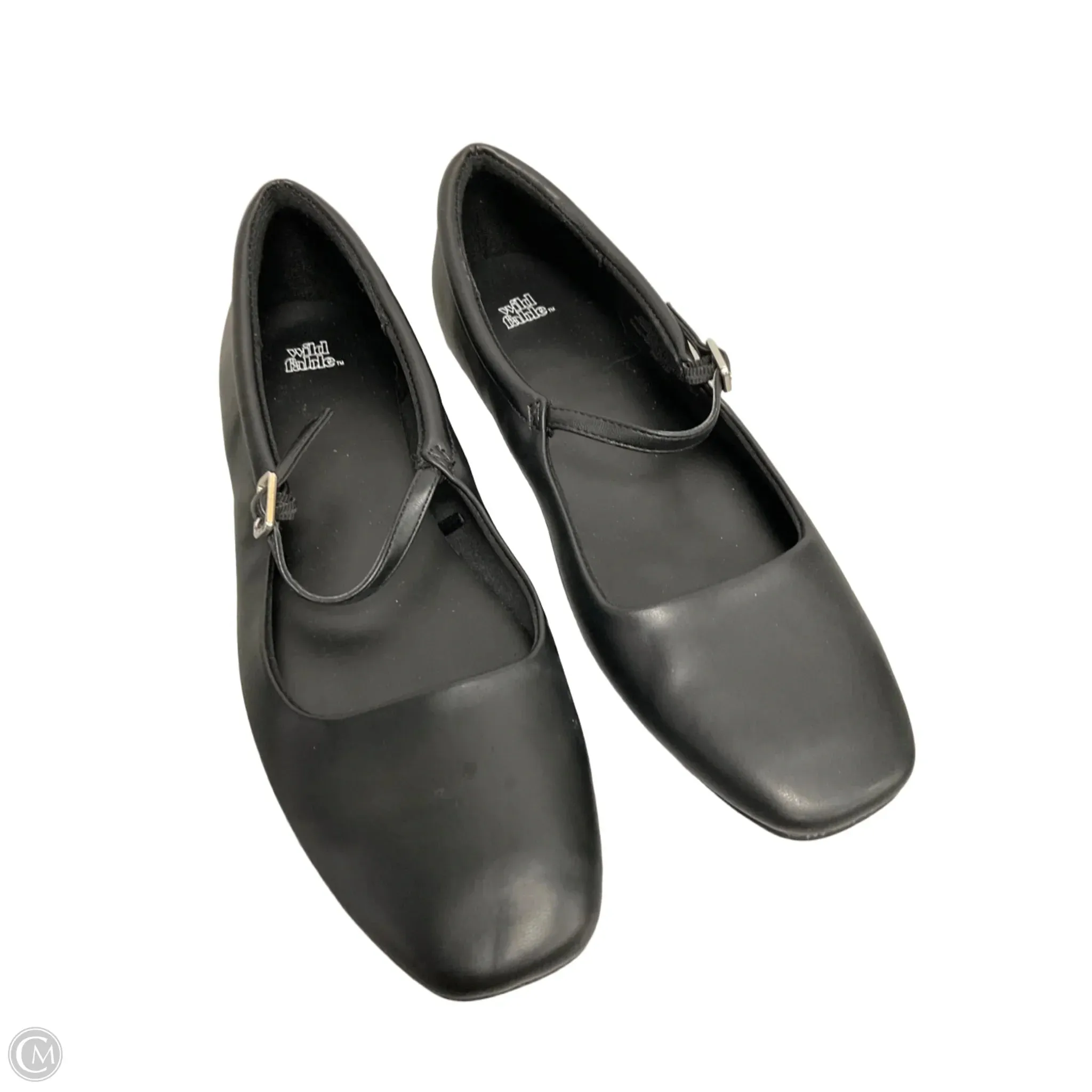 Shoes Flats By Wild Fable In Black, Size: 9.5