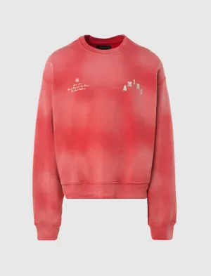 VINTAGE COLLEGIATE CREWNECK