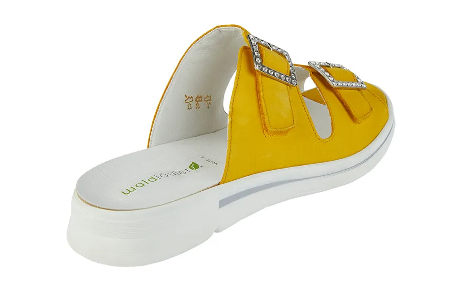 Wal Majestic Yellow