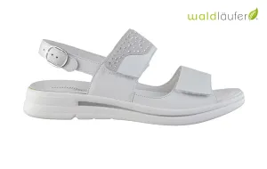 Wal Sina